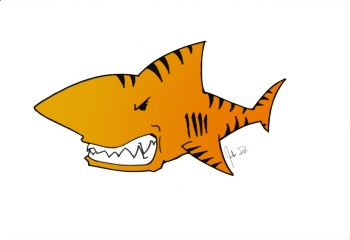 HC tiger shark logo